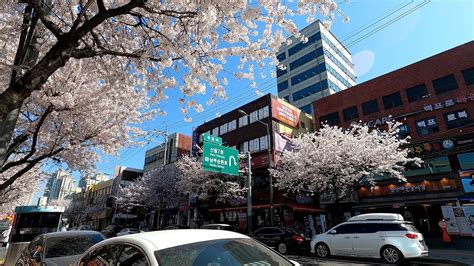 목동역 맛집: 서울의 숨은 보석을 찾아서