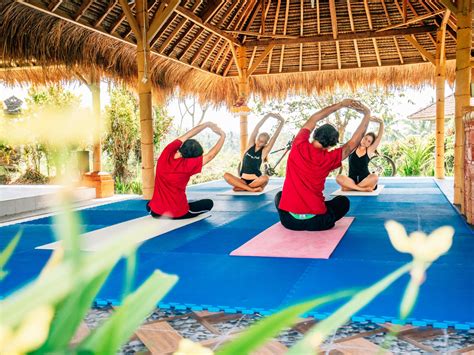 Yoga Retreat with Yandel: Can You Handle the Latin Heat?